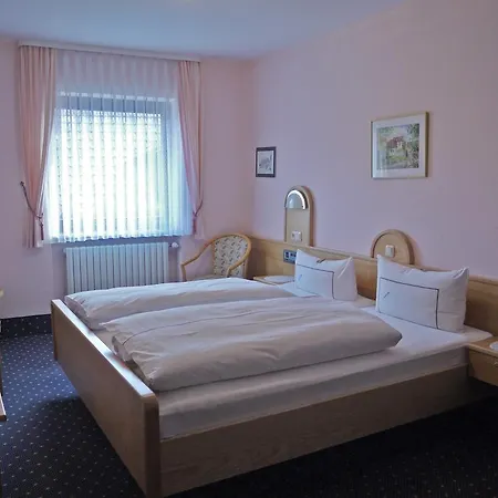 Hotel Ebner 3*